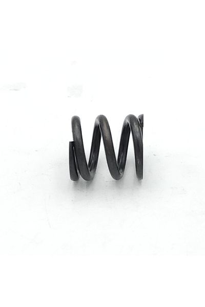 EXPERT Caliper Mechanism Part Internal Spring Bosch Type (5 Pcs)