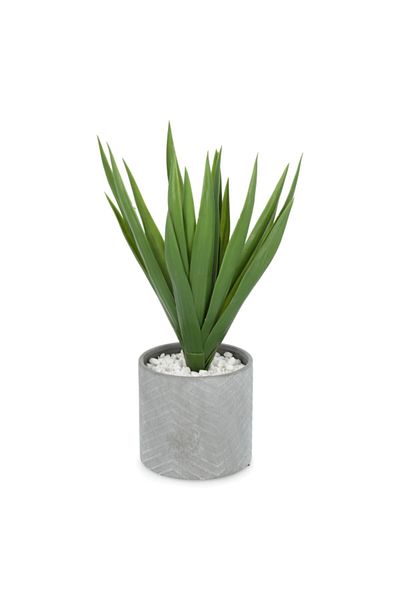 Atmosphera Lightweight Realistic Flat Base Aloe Vera Artificial Plant with Vase