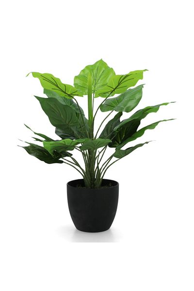 Atmosphera Lightweight Realistic Flat Base Real Touch Artificial Plant