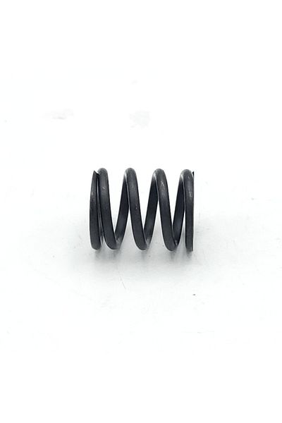 EXPERT Caliper Mechanism Part Spring Bosch Type (5 Pieces)