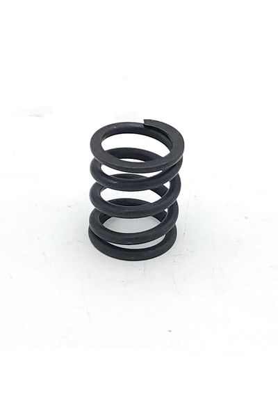 EXPERT Caliper Mechanism Part Spring Bosch Type (5 Pieces)