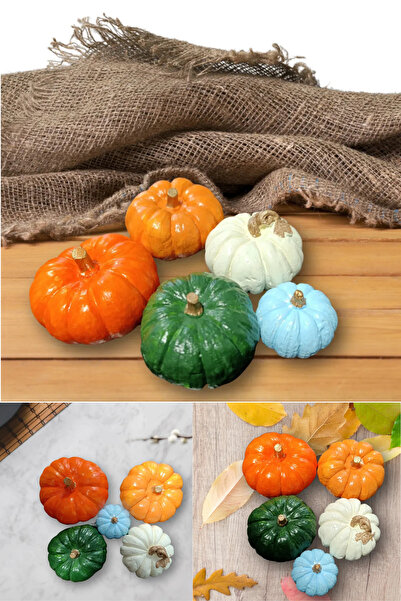 omilife Dekoratif Kabak 5'li Set Renkli Vernikli Dekorasyon Kabak Seti