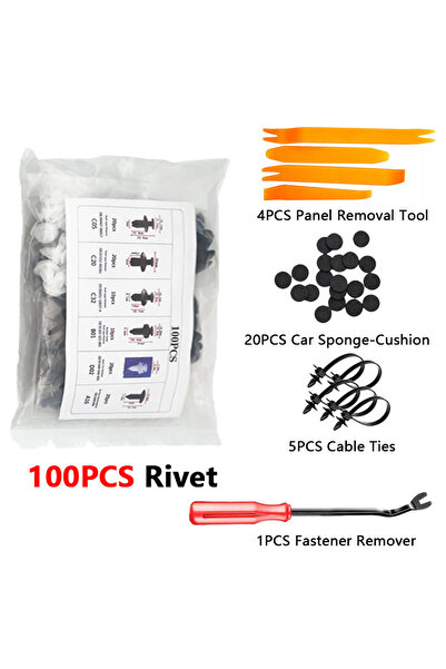 Choice 100Pcs Bag with Tool 820-100Pcs Car Fastener Clip Kit Push Retainer Cl...