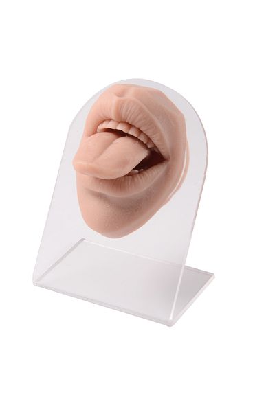 Choice Coffee -SSE0256S 1PC Silicone Mouth Model Tattoo Puncture Practice Body Part Display Lip Teeth Tongu