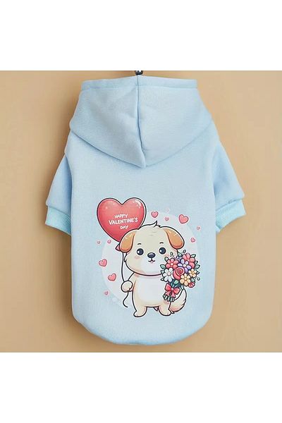 Lady Fify Valentines Day Light Blue Hooded Sweatshirt for Cat Dog