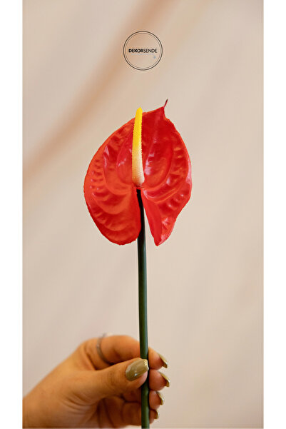 Dekorsende Yapay Antoryum Çiçeği Canlı Dokunuş Kırmızı 40 Cm