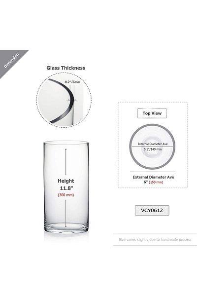 Encounter Glass Cylinder Vase (Clear, Width 4in, Height 7.8in)