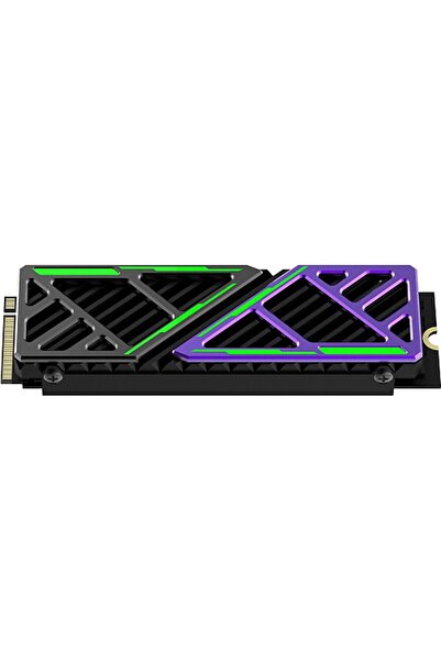 Hiksemi Future X PCIE Gen4 Nvme 1024 GB Soğutuculu Dahili SSD