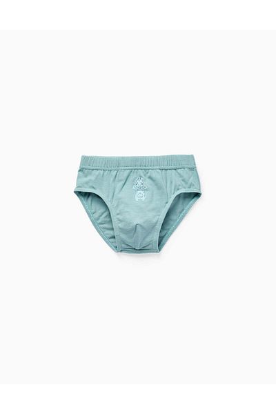 Ziddy Pack of 5 Boxer Shorts for Boys 'Dragon', Multicolour