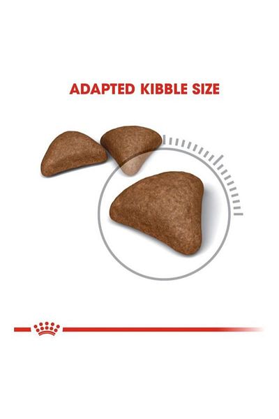 Royal Canin Feline Care Nutrition Hairball Care Dry Food