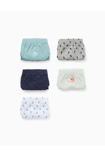 Ziddy Pack of 5 Boxer Shorts for Boys 'Dragon', Multicolour