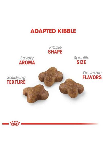 Royal Canin Kitten Chaton Feline Health Nutrition Cat Dry Food 2kg