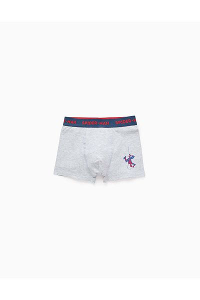 Ziddy Pack of 4 Plain/Printed Boxer Shorts for Boys 'Spider-Man', Multicolour