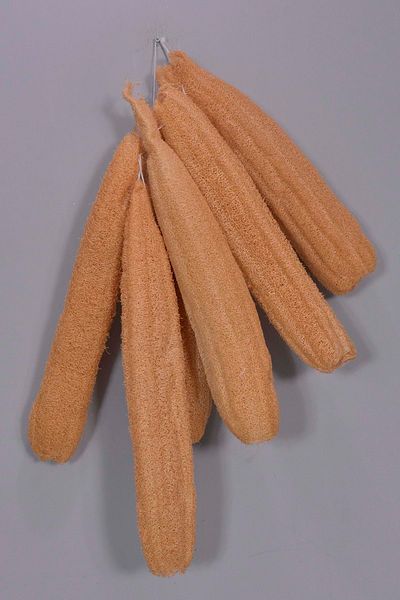 Harbiye Yöresel Pumpkin Liffe Lf0001
