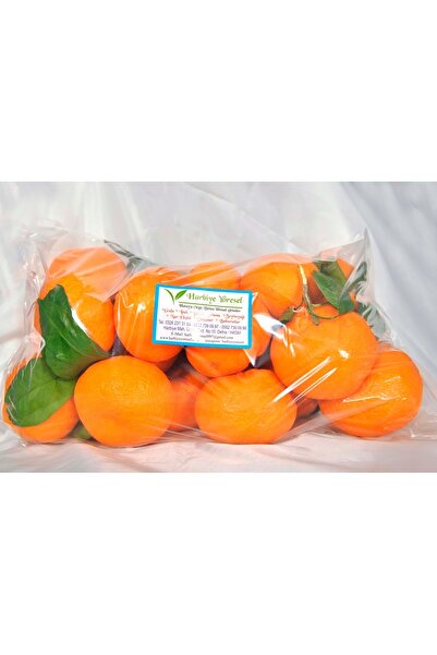 Harbiye Yöresel Hatay Organik Mandalina ( 2 Kg)