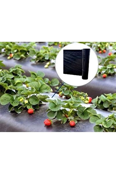 Procover Uzunluk 200 Metre/genişlik 130 Cm/kalınlık 100 Mikron/deliksiz/siyah/malç Naylonu/çilek Naylonu