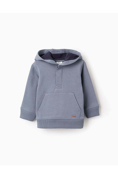 Ziddy Cotton Hooded Sweatshirt for Baby Boys, Grey