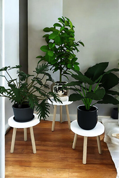 HESA BEYAZ 3'lü Ahşap Saksılık Çiçek Standı Ham Ayaklı Dekoratif Amaçlı kullanım