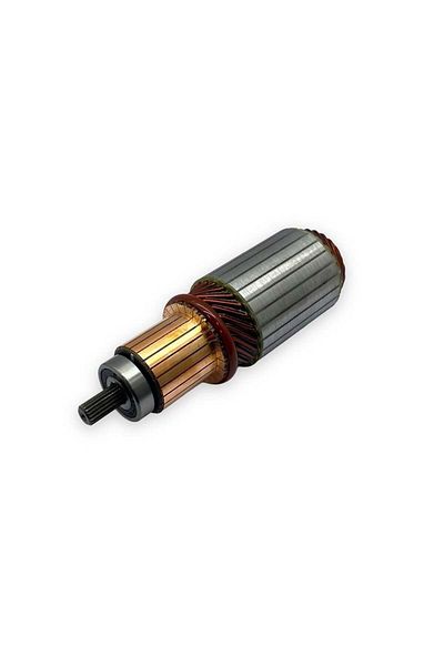 Schenna 12v Starter Collector Nippon Denso 19 Tooth 2 Kw (WITH BEARING)