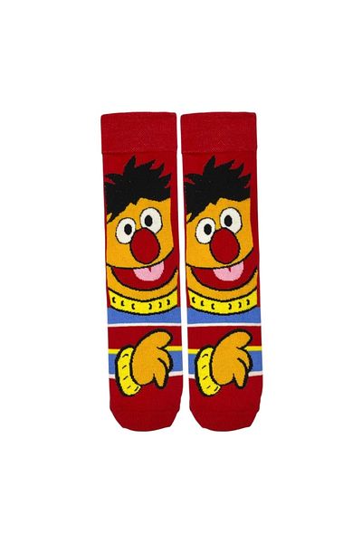 Çorap Kurdu Colorful Socks with Cartoon Character Pattern