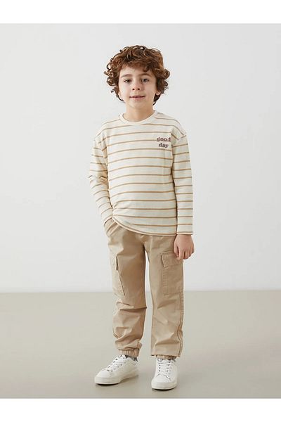 LC Waikiki Textured Fabric Striped Boy's T-Shirt
