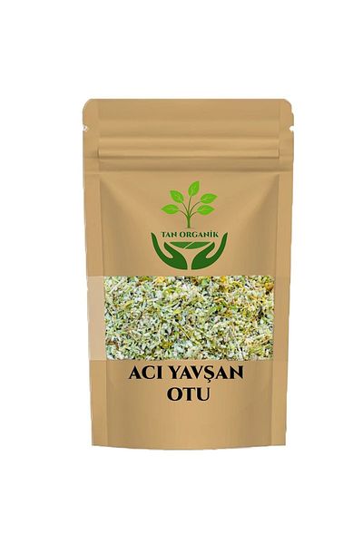 bitki diyarı Bitter Absinthe Herb (Artemisia Absinthium L.) Bodur Mahmut 1000Gr