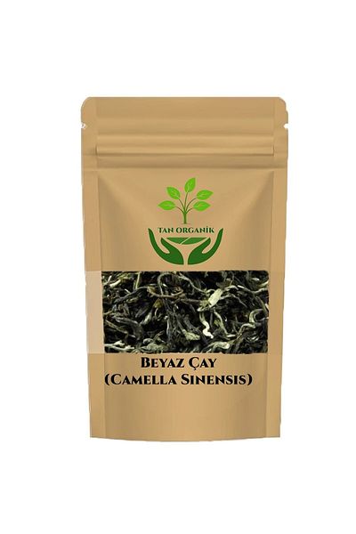 bitki diyarı White Tea (Camella Sinensis) 50gr