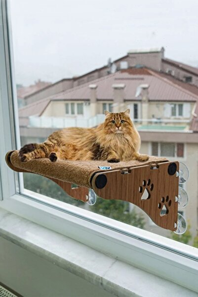 GenelTedarik Ahşap Cama Yapışan Kedi Yatağı Vantuzlu Cam Yatağı Terası