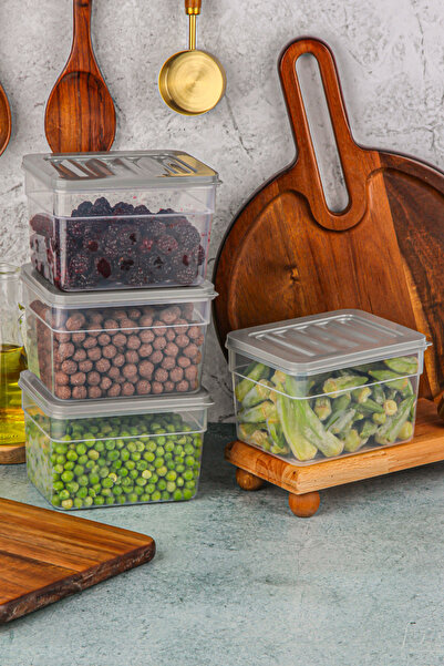 welcomein 4'lü Buzdolabı Düzenleyici Organizer Mikrodalga Ve Difrize Uygun Sa...