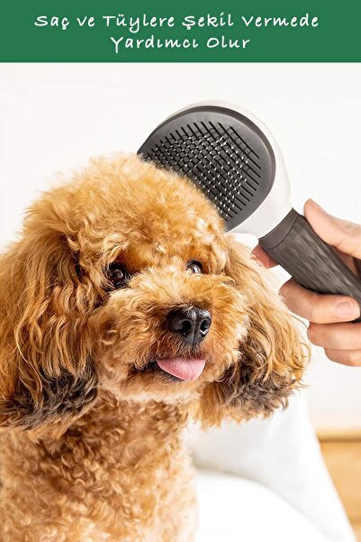 Factorial Kedi Köpek Tırnak Makası Ve Otomatik Tuşlu Kedi Köpek Kılı Tüy Toplama Fırçası Takımı