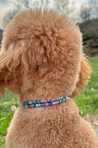 JesPawty Jesspecial Mavi İp Halat Kedi Köpek Kolyesi Charm Uçlu Gümüş Rengi