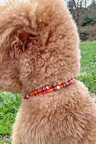JesPawty Jesspecial Turuncu İp Halat Kedi Köpek Kolyesi Charm Uçlu Gümüş Rengi