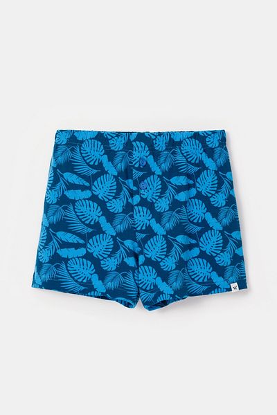 Woody Boxers for Boys 10-16 Years, with Blue Print