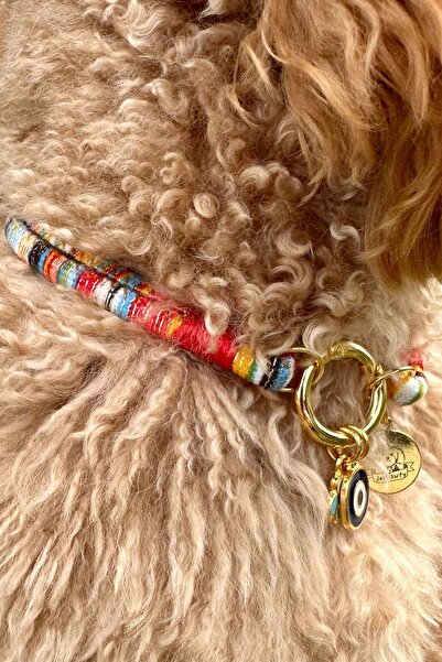 JesPawty Renkli Ip Halat Kedi Köpek Kolyesi Charm Uçlu