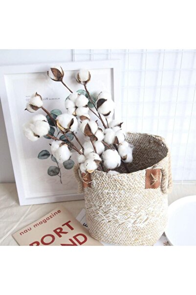 Nettenevime 3lü Set Doğal Pamuk Çiçeği 9lu Kuru Çiçek 60cm Yapay Çiçek