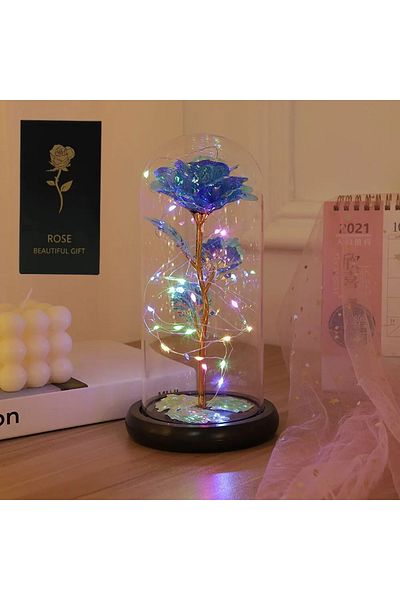 Choice Blue Valentines Day Gift For Girlfriend Eternal Rose Led Light Foil Flower In Glass Cover Mothers Da
