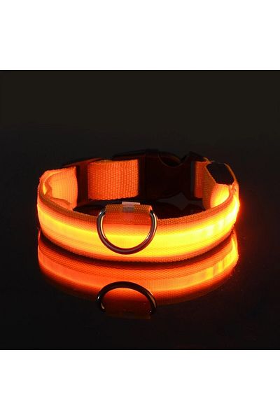 Choice XL Orange Nylon LED Night Safety Flashing Glow In The Dark Dog Leash Dogs Luminous Fluorescent Pet D