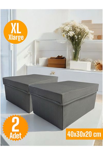 Balkan Room 2 Pieces Flip Lid Cabinet Organizer Box Multi-Purpose Storage Box Xlarge 40X30X20 cm