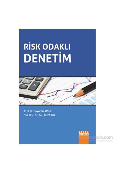 Detay Yayıncılık Risk Odaklı Denetim