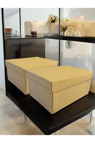 Balkan Room 2 Pieces Flip Lid Cabinet Organizer Box Multi-Purpose Storage Box Xlarge 40X30X20 cm