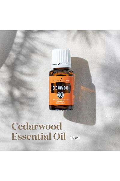 Young Living Essential Oils Cedarwood Essential Oil 15ml, for Healthy Skin, Hair & Scalp, Pure, Calming & Soothing