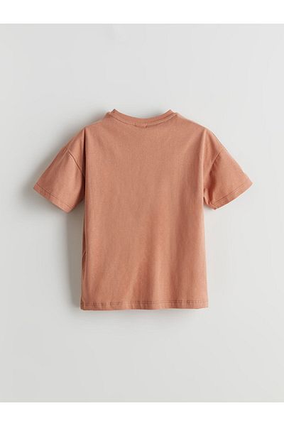 LC Waikiki Crew Neck Boy's T-Shirt