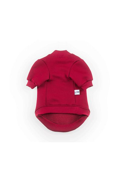 JesPawty Burgundy Sweatshirt Dog Outfit