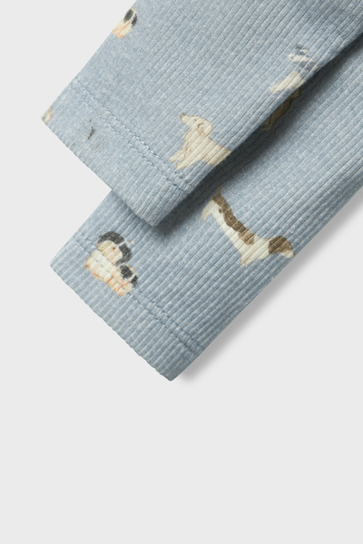 name ıt Pánske pančuchové nohavice – model Quarry