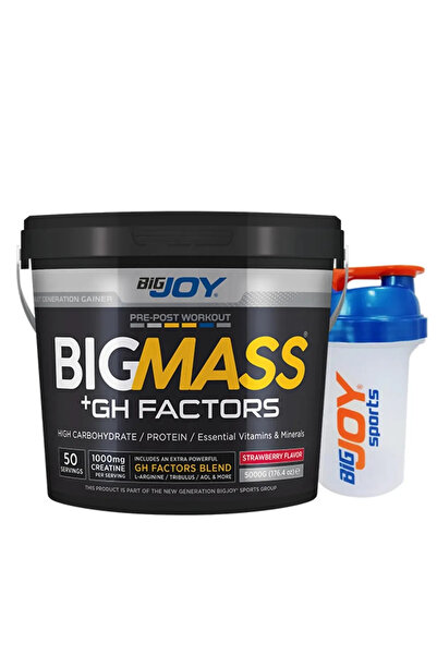 Bigjoy Sports Bigjoy Big Mass Gh Factors 5000 gr Çilek Aromalı