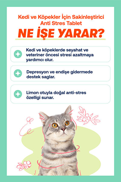 BioFeline Anti-Stres Tablet – Kedi & Köpekler için Sakinleştirici Destek (75 Adet)