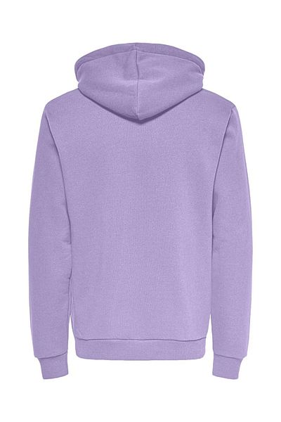 Only & Sons Kapuzenpullover ONSCERES Sweatshirt