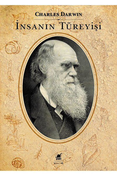 Ayrıntı Yayınları İnsanın Türeyişi