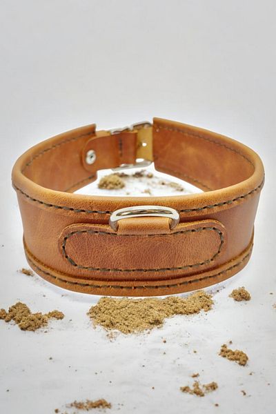 Leather Alpha Light Tan Genuine Leather Medium Breed Dog Collar