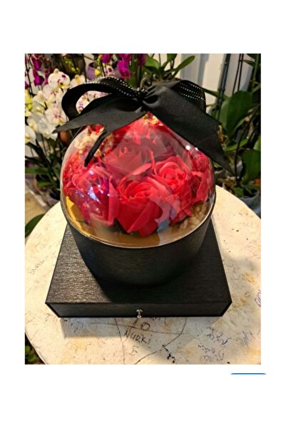 ÇEÇEN HOME مع أدراج مضاءة على شكل قبة، هدية يومية خاصة بجمال الورد والعطر